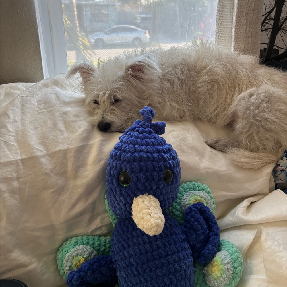 Blue and Green Plush Peacock Toy - Picture 3 of 15